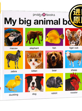My Big Animal Book Casebound 我的大本动物书 英文原版儿童绘本