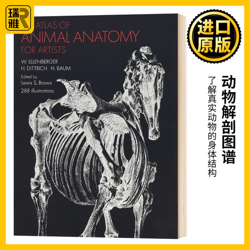 动物解剖图谱 英文原版 An Atlas of Animal Anatomy for Artists 动物绘画技巧参考书 英文版W. Ellenberger进口原版英语艺术类书