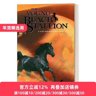 英文原版 黑神驹系列 年轻的黑神驹 野性而不可驯服的灵魂 小说 英文版 进口英语书籍