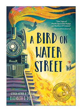 英文原版 A Bird on Water Street 水街上的鸟儿 绿色地球图书奖 儿童历史小说 伊丽莎白·O.杜兰巴 英文版 进口英语原版书籍