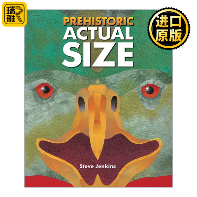 Prehistoric Actual Size 史前动物的实际大小 科普绘本 史蒂夫詹金斯