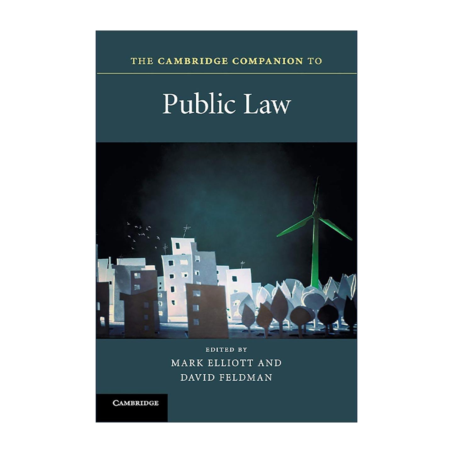英文原版 The Cambridge Companion to Public Law 剑桥公法指南 剑桥法律指南系列 英文版 进口英语原版书籍