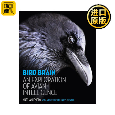 Bird Brain 鸟的大脑 鸟类智商的探秘之旅 Nathan Emery内森·埃默里 精装