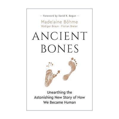 英文原版 Ancient Bones 古老骨骼 揭示我们如何成为人类的惊人新故事 古生物学 Madelaine B?hme 英文版 进口英语原版书籍