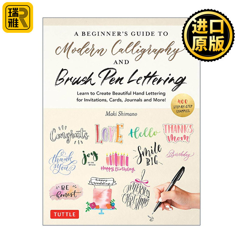 英文原版 A Beginner's Guide to Modern Calligraphy & Brush Pen Lettering 现代书法和毛笔字体初学者指南 进口英语原版书籍