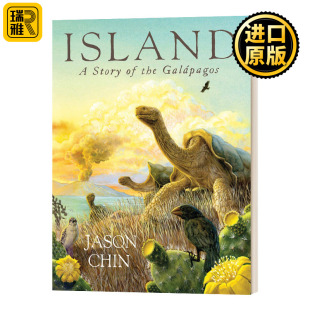英文版 Jason Chin 现货岛 正版 Island 纯全英文版 原著进口英语书籍 英文原版