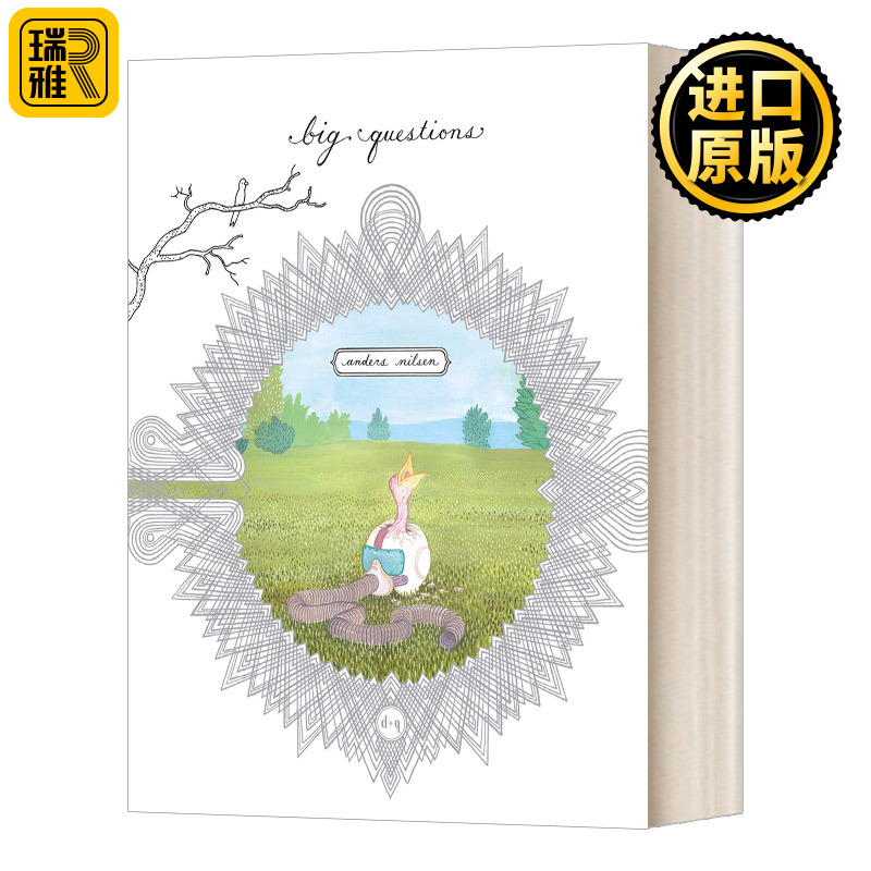 大问题漫画小说英文原版