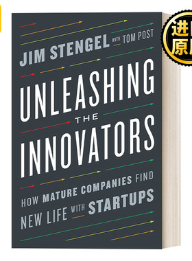 英文原版 Unleashing the Innovators : Jim Stengel