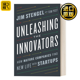 英文原版 Unleashing the Innovators : Jim Stengel