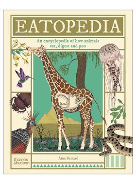 英文原版 Eatopedia 动物进食与消化系统大百科 儿童科普百科知识读物精装 博洛尼亚童书奖得主Aina Bestard 进口英语原版书籍