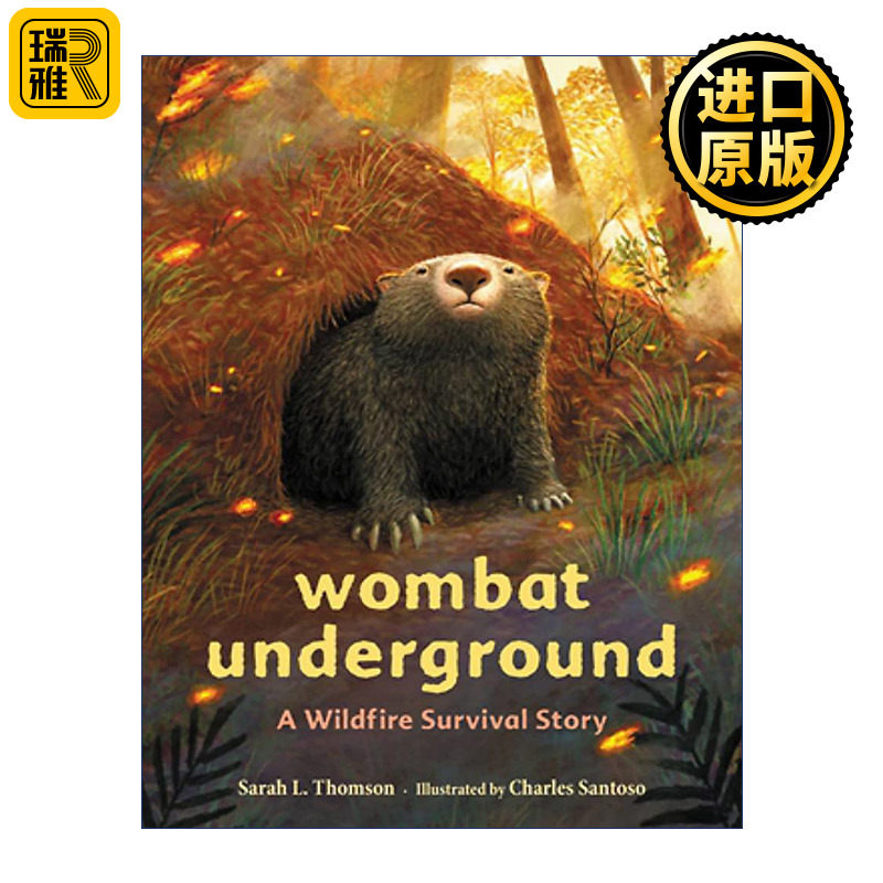Wombat Underground 袋熊的地下洞穴 山火生存动物故事精装绘本