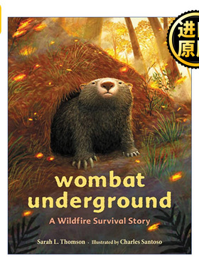 Wombat Underground 袋熊的地下洞穴 山火生存动物故事精装绘本