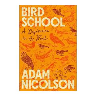 鸟类学校 我 进口英语原版 Bird 书籍 英文版 School 精装 英文原版 观鸟经历