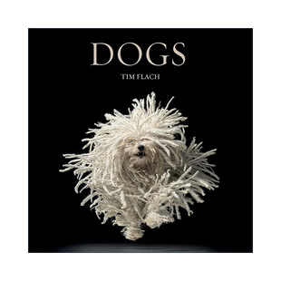 Tim Flach蒂姆·弗拉克 圣犬 精裝 自然攝影藝術(shù)圖冊(cè) 狗 Dogs