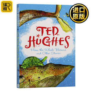 全英文版 英语书籍 Became 英文原版 Ted 很久很久以前 Whale 特德休斯 进口原版 How Hughes the