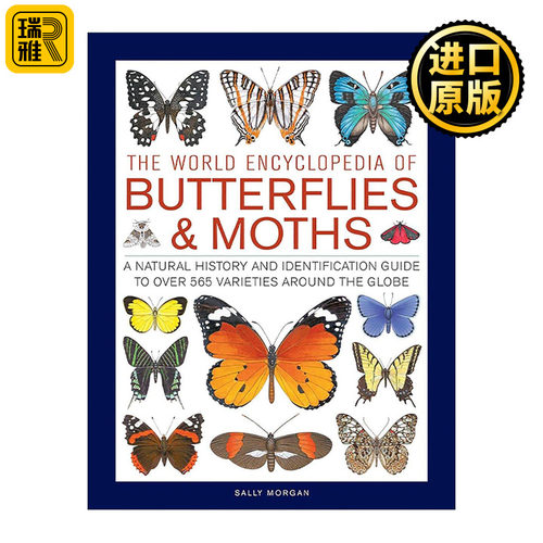 英文原版 The World Encyclopedia of Butterflies & Moths 世界蝴蝶与飞蛾百科全书 精装 英文版 进口英语原版书籍