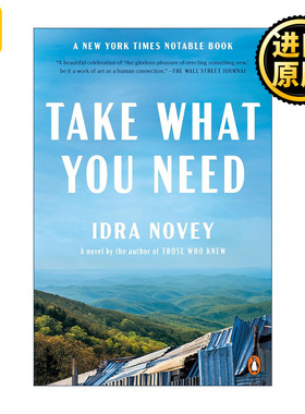 Take What You Need 拿走你要的 女性小说 Idra Novey