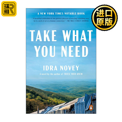 Take What You Need 拿走你要的 女性小说 Idra Novey