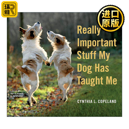 英文原版 Really Important Stuff My Dog Has Taught Me 狗教会我的那些重要事 英文版 进口英语原版书籍