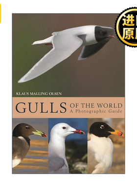 英文原版 Gulls of the World 世界的海鸥 摄影指南 观鸟 海鸥专家Klaus Malling Olsen 精装 英文版 进口英语原版书籍