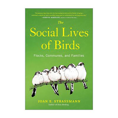英文原版 The Social Lives of Birds 鸟类的社会生活 鸟群 公社和家庭 观鸟 科普指南 Joan E. Strassmann 精装 进口英语原版书籍