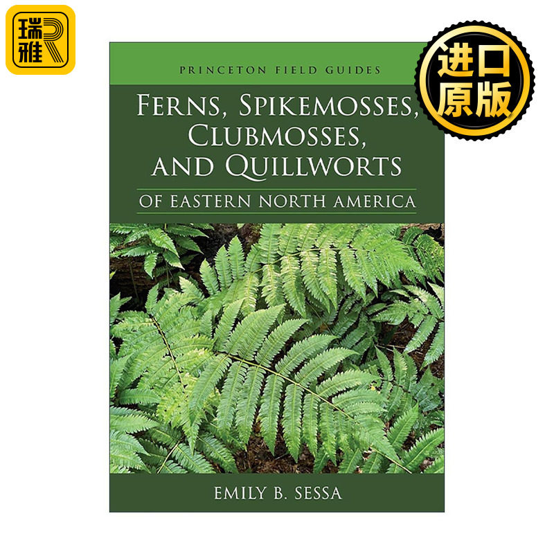 英文原版 Ferns Spikemosses Clubmosses and Quillworts of Eastern North America 东北美洲的蕨类植物 卷柏目 石松目和水韭目