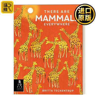 There Are Mammals Everywhere 无处不在的哺乳动物 儿童认知绘本 精装