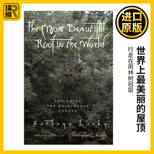 英文原版 The Most Beautiful Roof in the World 世界上最美丽的屋顶 行走在雨林树冠层 纽伯瑞奖作者 英文版 进口英语原版书籍