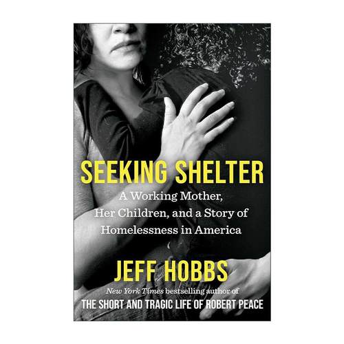英文原版 Seeking Shelter 寻找栖身之所 一位职场母亲 她的孩子们与美国的无家可归故事 英文版 进口英语原版书籍