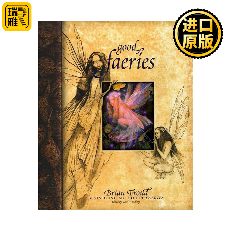 Good Faeries Bad Faeries 好仙女坏仙女 精灵魔法世界 精装