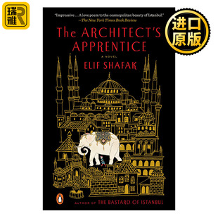 Apprentice 建筑师 学徒 The Elif 历史小说 Shafak Architect
