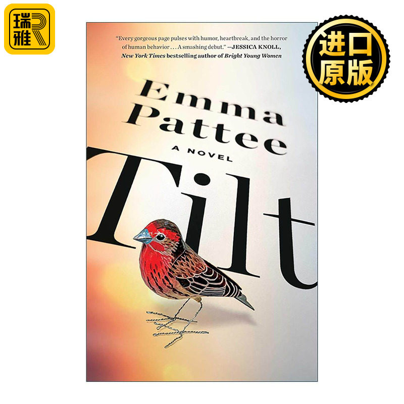 英文原版 Tilt 摇摆 精装 亚马逊月度佳选 今日美国畅销佳作 英文版 进口英语原版书籍