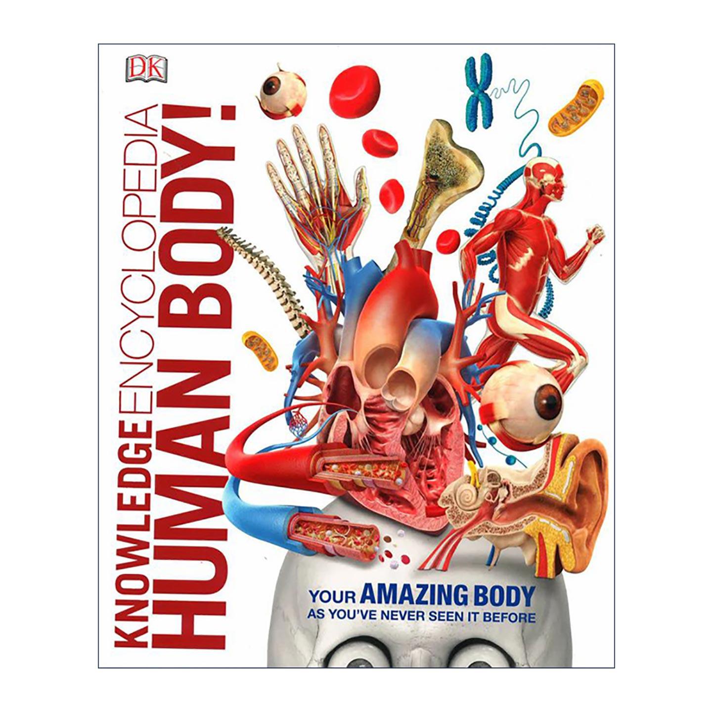 英文原版 Knowledge Encyclopedia Human Body DK知识百科全书系列 人体 精装 英文版 进口英语原版书籍