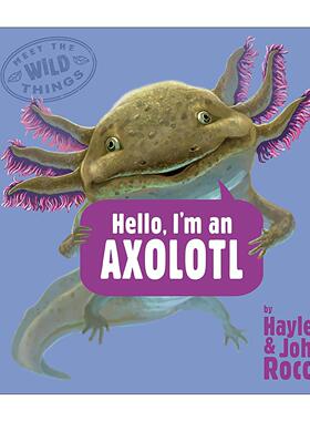 英文原版 Hello I'm an Axolotl Meet the Wild Things 04 你好 我是蝾螈 遇见野生动物系列4 儿童精装科普百科绘本 迪克银奖得主