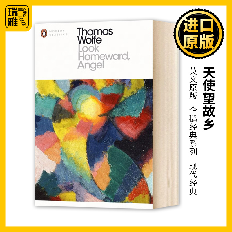 天使望故乡英文原版书籍
