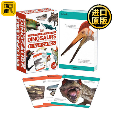 Our World in Pictures Dinosaur Flash Cards 恐龙闪卡 DK儿童科普百科