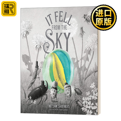 It Fell From The Sky 来自天空的你 精装 英文原版儿童绘本
