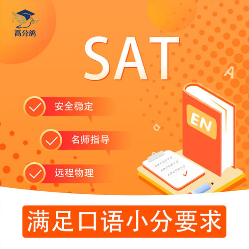 SAT托福雅思GRE线上1V1教学AP朗思思培PTE领思多领国考试托业保