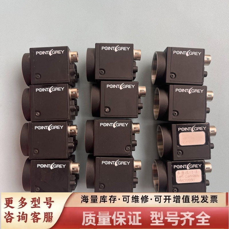 非标价BFLY-PGE-13E4M-CS 灰点  议价