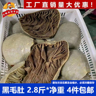 黑毛肚整个牛毛肚重庆火锅食材老北京涮肚带底皮配菜牛百叶串串香