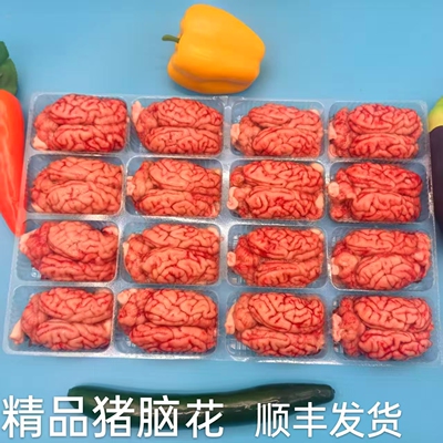 新鲜冷冻猪脑猪脑花大猪脑子猪脑袋小脑猪脑髓火锅烧烤