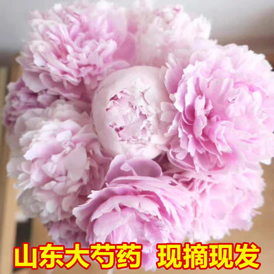 这家芍药鲜花复购率100%