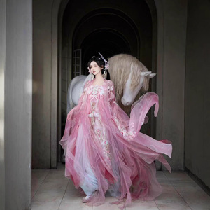 汉虞葵魔法师原创汉服女大袖衫改良齐胸破烂风重工刺绣春夏款
