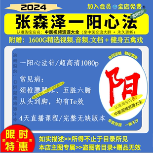 张森泽一阳心法针高清视频中医针灸自学习视频回放完整四天新课