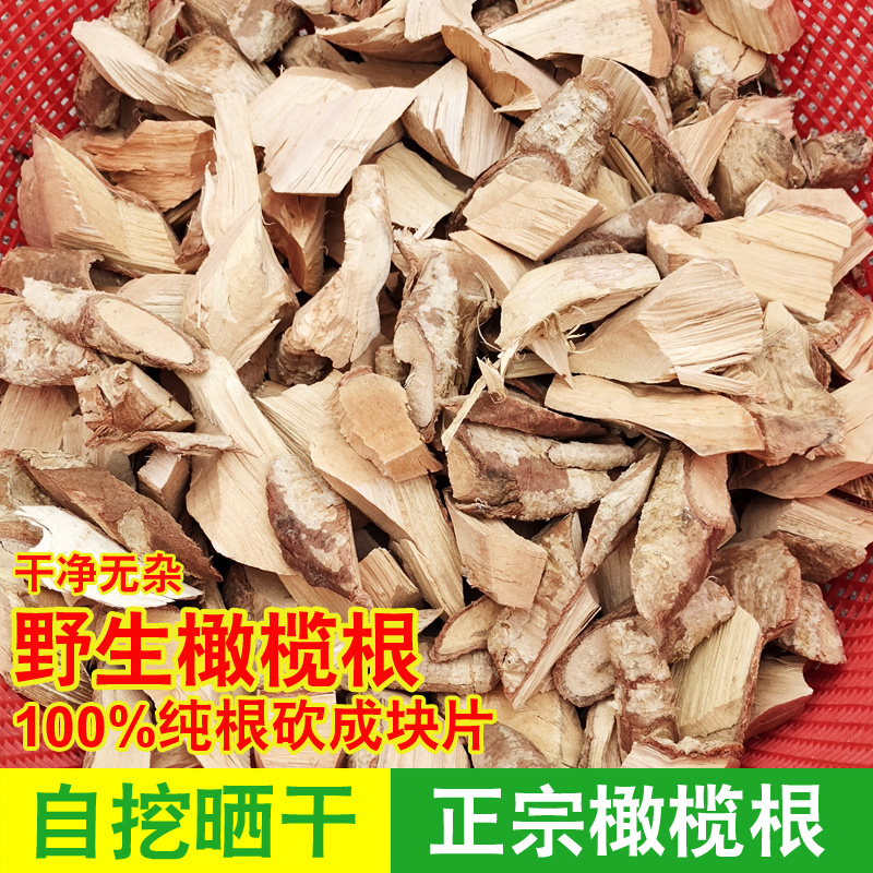 野生青橄榄白榄根黄榄根切片