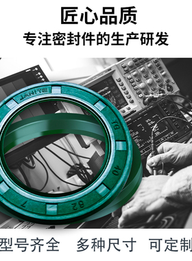 TC/TG进口骨架油封22*47/48/50/52/55/56*7*8*1012油缸油封密封垫