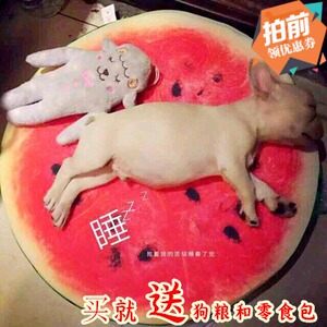 狗窝四季垫子春夏可拆洗泰迪小中型犬金毛西瓜不防水法斗狗垫猫垫