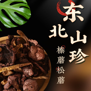 东北特产野生红松蘑，野生榛蘑菇干货山货