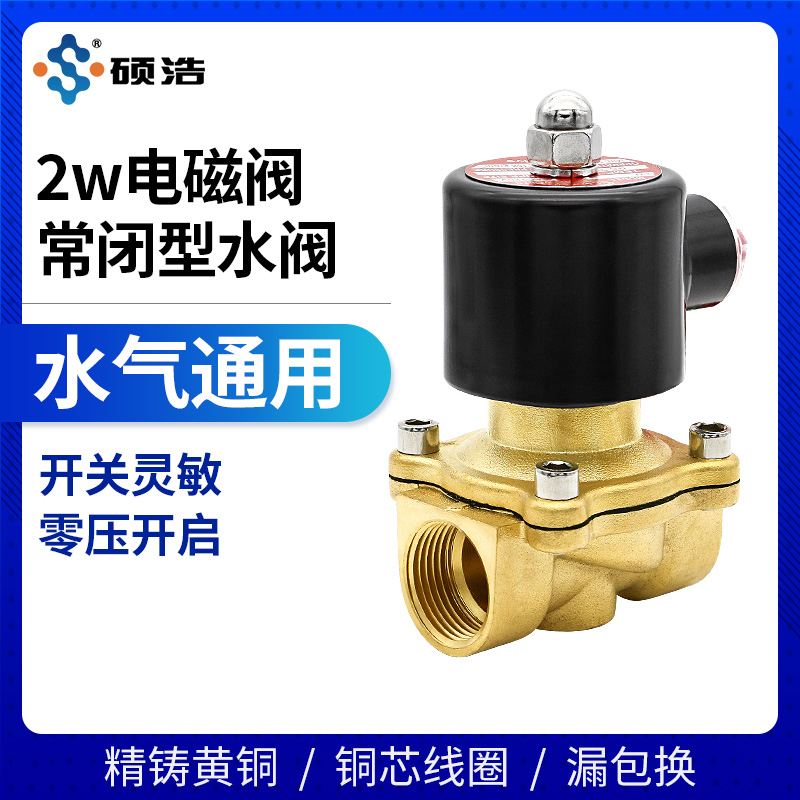 全铜电磁阀水阀220v24v水管开关气阀常闭水用淋水控制器4 6分12寸