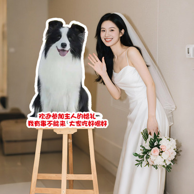 小红书网红同款宠物kt板婚礼猫咪狗狗迎宾牌定制手举牌kt板定制
